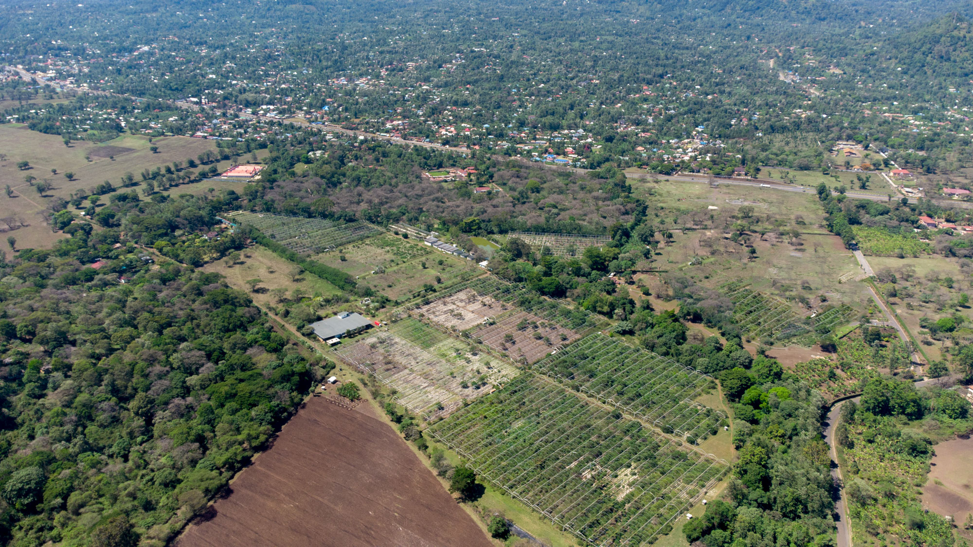 Residential plots for sale in Arusha Tanzania with clean title deeds