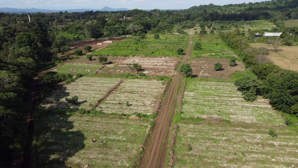 Affordable land for building homes near Kilimanjaro International Airport