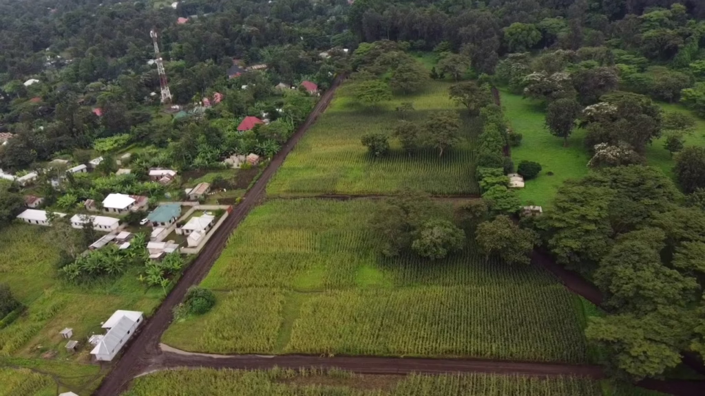 Premium Plots for sales Africa